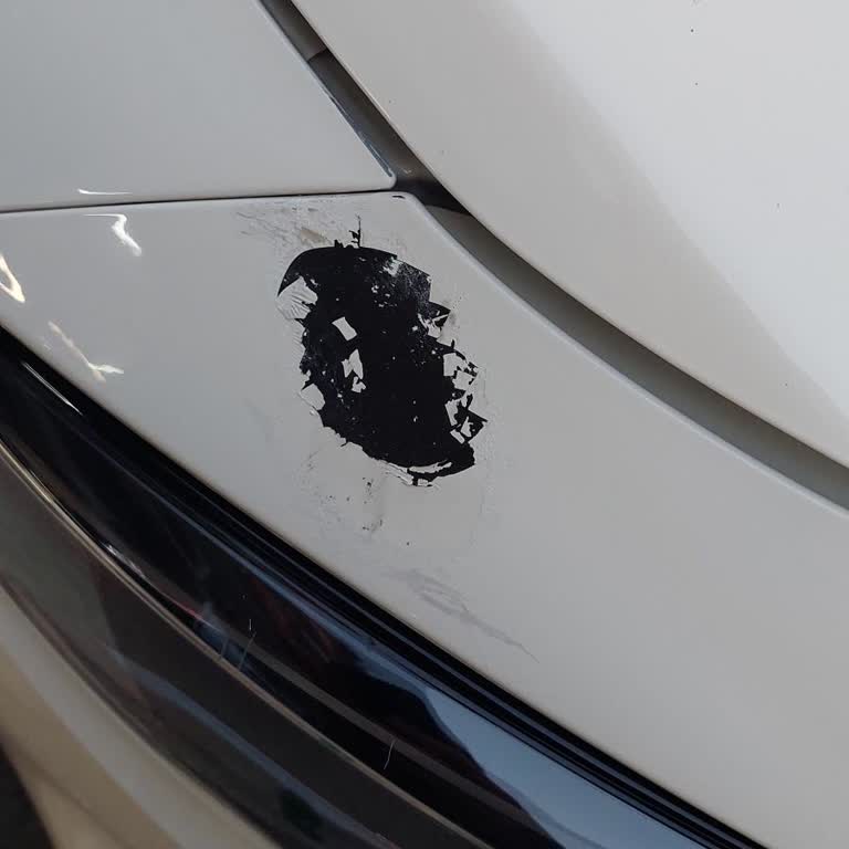 Fiat Yetkili Servisinde Seramik Kaplama Kabusu