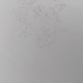 Fiat Yetkili Servisinde Seramik Kaplama Kabusu