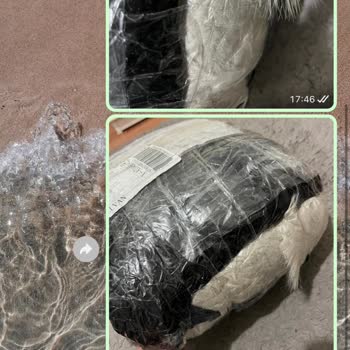 Paketleme Sorunları ve Ürün Erişilemezliği