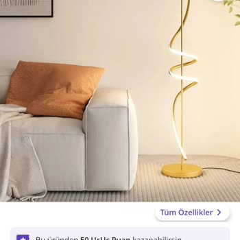 Yanlış Renk Gönderimi Ve Kupon Mağduriyeti