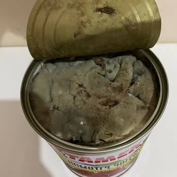 Küflü Salça Şoku: Tamek'e Güvenim Sarsıldı