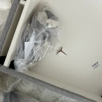 Hasarlı Koltuk Ve Yetersiz Müşteri Hizmetleri