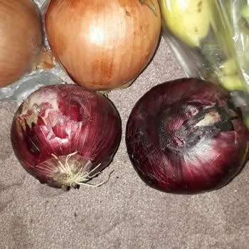 Migros Sanal Market'ten Gelen Çürük Ürünler