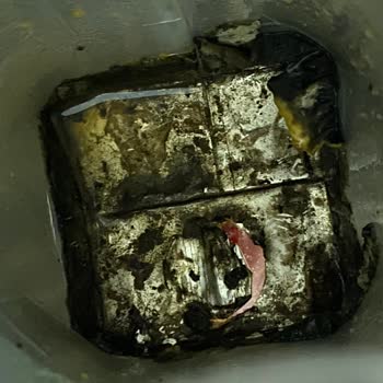 Harras Meyve Suyunda Küflenmiş Parçalar Ve İletişimsizlik