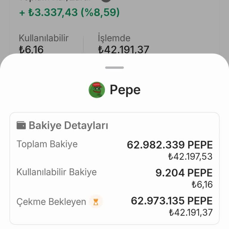 Bithero Borsasında İşlem Gecikmesi Sorunu