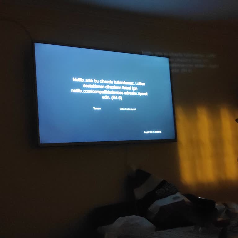 LG TV'de Netflix Sorunu Ve Hayal Kırıklığı