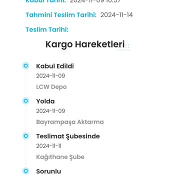 Kargoist'in Kaybolan Kargoları Ve LCW İş Birliği Sorunu