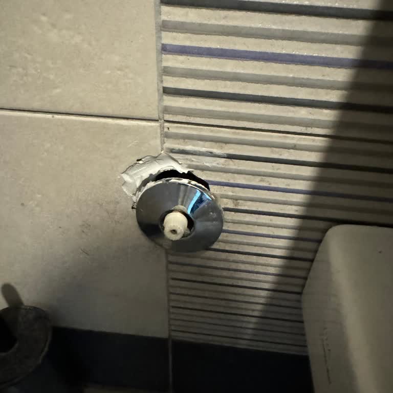 Berceste Sapanca'da Temizlik Ve Müşteri İlişkileri Sorunu