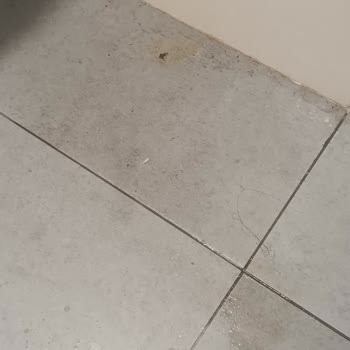 Ankara Etlik Şehir Hastanesi Hijyen Ve Personel İlgisizliği Sorunu!