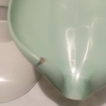 Temu'dan Hayal Kırıklığı: Yanık Sabunluk Ve Kalitesiz Ürünler