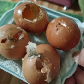 Migros Online Alışverişte Sürekli Hasarlı Ürün Sorunu