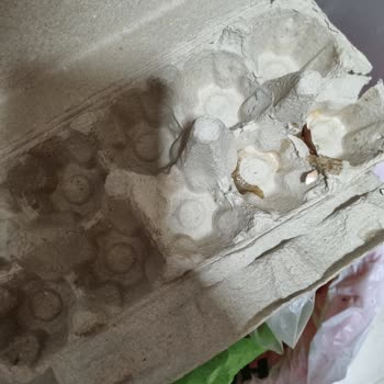 Migros Online Alışverişte Sürekli Hasarlı Ürün Sorunu