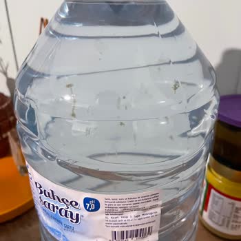 Bahçesaray Sularında Sağlığı Tehdit Eden Yabancı Maddeler