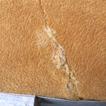 Koltuk Takımı Kabusu: Satış Sonrası Hayal Kırıklığı