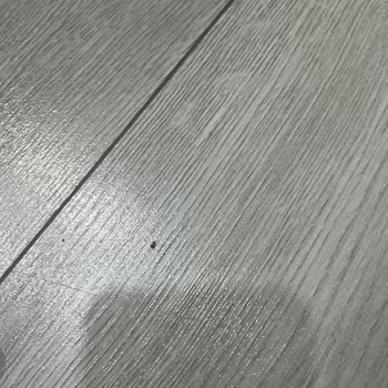 Ülker Sağlık İçin Alınan Üründen Şok Edici Böcek Çıkışı