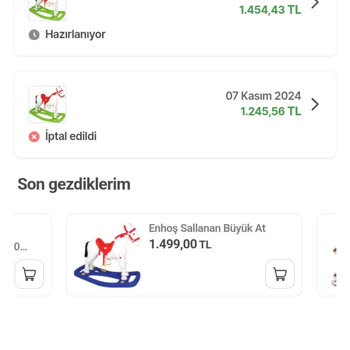 Kargo Krizi: Siparişim Nerede?