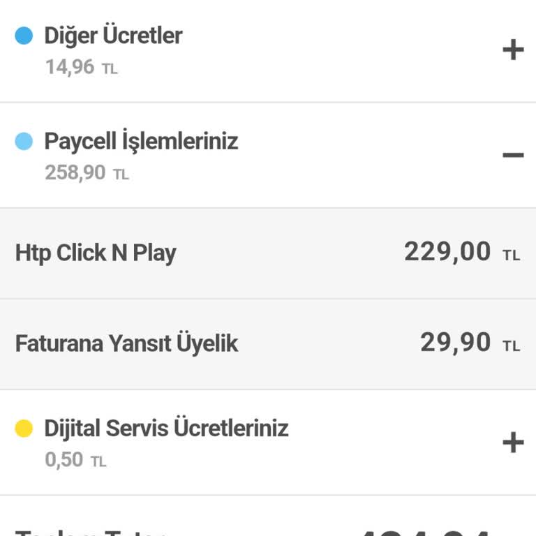 Yanlış Yansıtılan Ödeme Sorunu