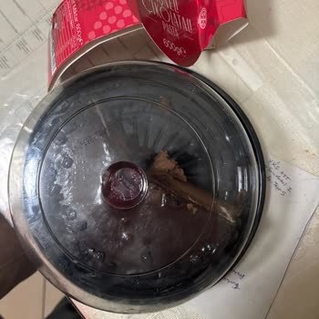 Dondurulmuş Pastada Kurt Şoku