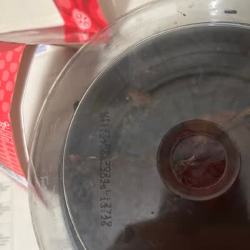 Dondurulmuş Pastada Kurt Şoku