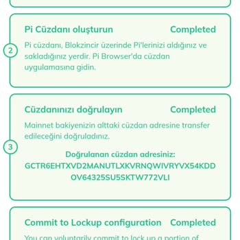 Pi Coin KYC Doğrulama Sorunu Ve İtiraz Reddi