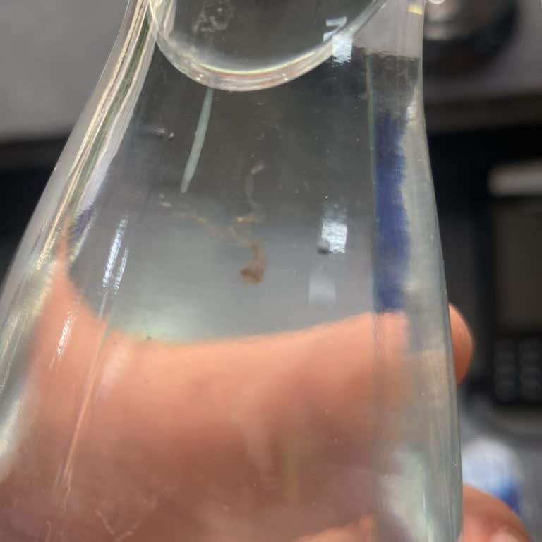 Cam Şişelerde Hijyen Sorunu Ve İade Taleplerine Cevapsızlık