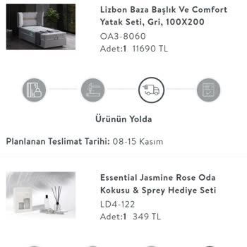 Teslimat Gecikmesi: Beklemekten Bıktım!