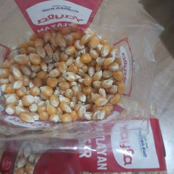 Küflü Mısır Ve Sağlık Riski