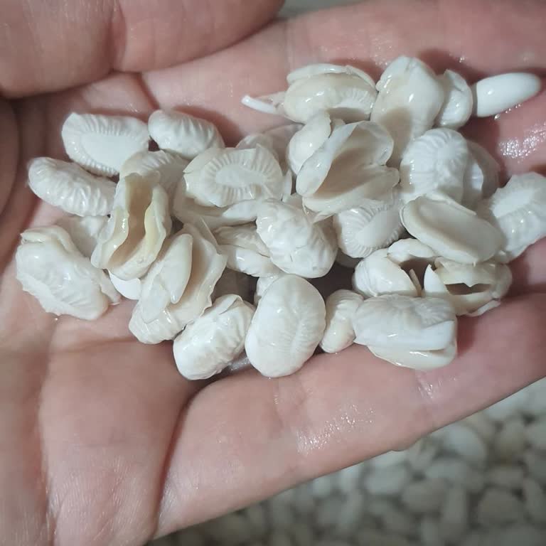 Duru Kuru Fasulye Hayal Kırıklığı: Beklenmedik Kalitesizlik