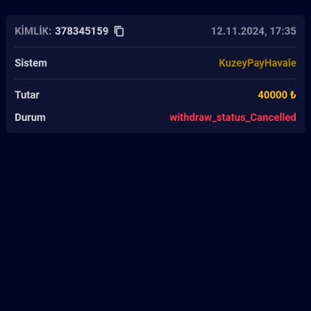 Yanıltıcı Para Çekim Süreci Ve Kaybolan Kazançlar