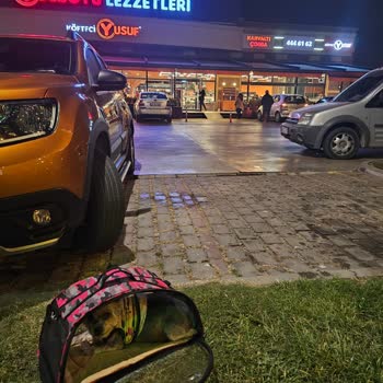 Evcil Hayvanla Köfteci Yusuf'ta Yaşanan Sorun