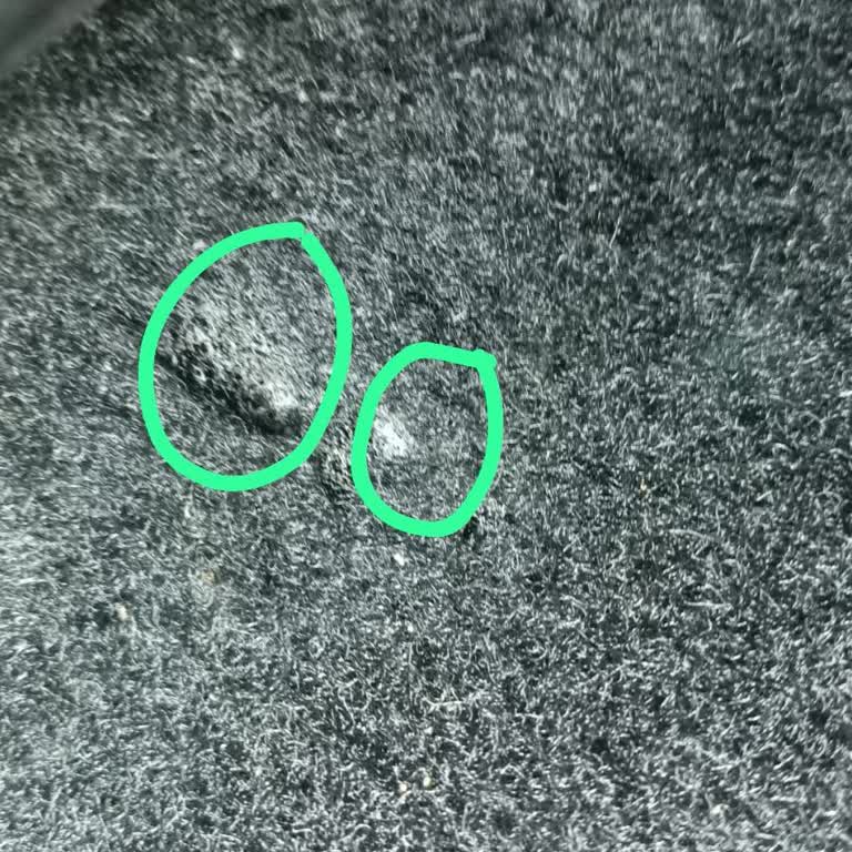 Haksız Sigara Yanığı İddiası Ve İade Edilmeyen Depozito