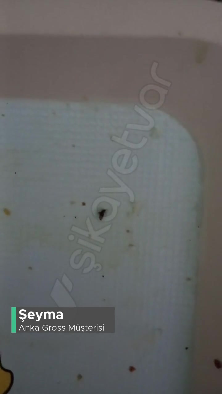 Anka Gross Ekmekten Böcek Çıktı! videonun kapak resmi