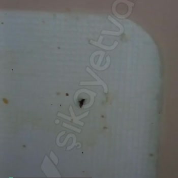 Anka Gross Ekmekten Böcek Çıktı!