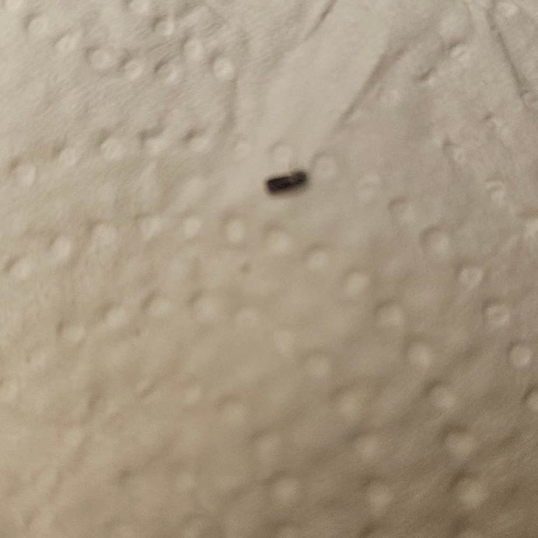 Böcekli Söke Un Skandalı: Çocuklarımın Sağlığı Tehlikede!