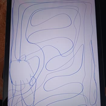 Yeni Alınan Tablette S Pen Algılama Sorunu