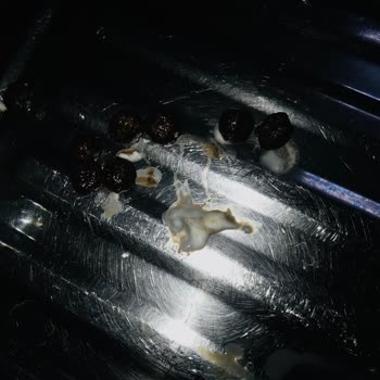 Bozuk Sütle Gelen Güven Kaybı