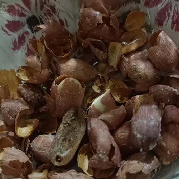 Migros'tan Aldığım Fıstıklar Kurtlu Çıktı