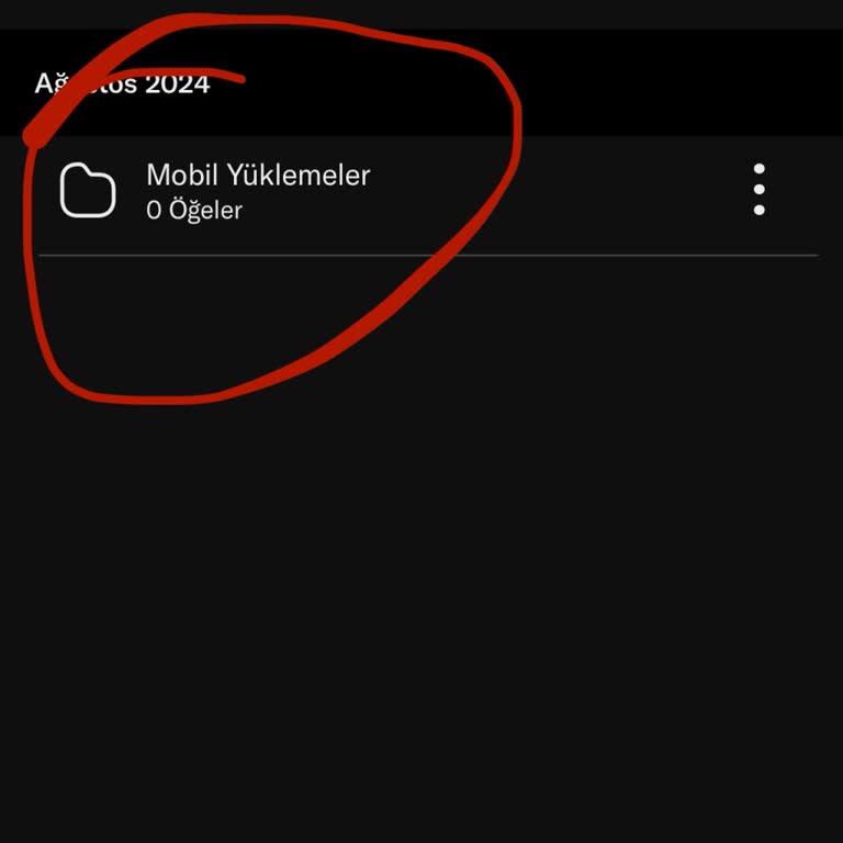 Lifebox'ta Yılların Anıları Kayboldu, Destek Yok