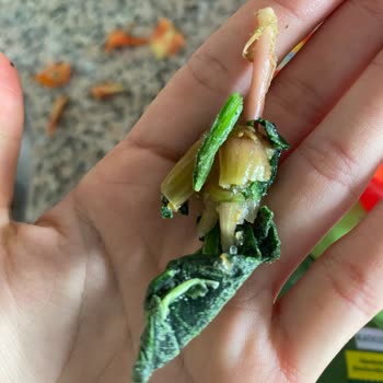 Superfresh Ürünüyle İlgili Hayal Kırıklığı