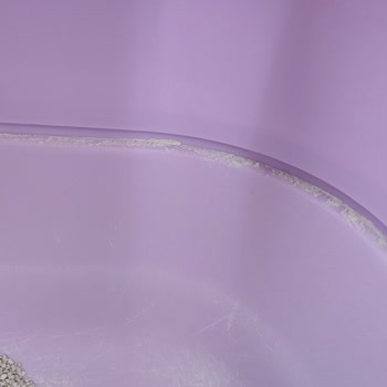 VanCat Kedi Kumu Kalitesi Ve Sağlık Endişeleri