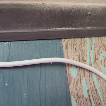 VanCat Kedi Kumu Kalitesi Ve Sağlık Endişeleri