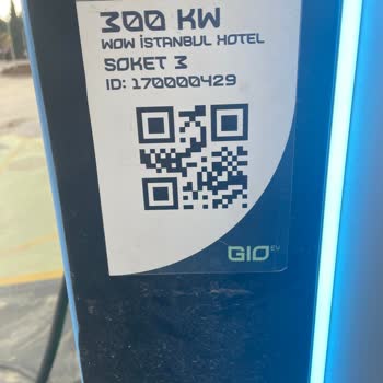 Elektrikli Şarj İstasyonunda Sürekli Kesinti Sorunu