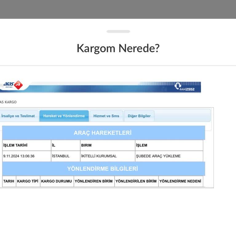 Aras Kargo'da Bekleyen Siparişim Kaybolacak Mı?