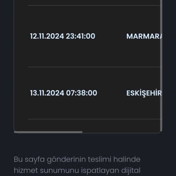 Geciken Kargo Teslimatı Sorunu