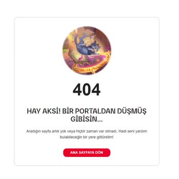 Hesap Güvenliği Ve Destek Sorunları