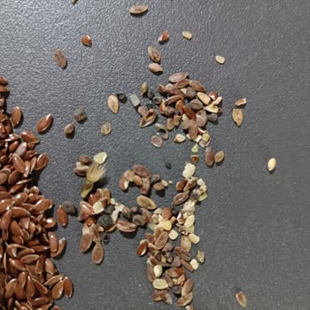 Yayla Keten Tohumunda Taş Ve Çöplerle Karşılaştım