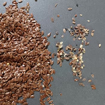 Yayla Keten Tohumunda Taş Ve Çöplerle Karşılaştım