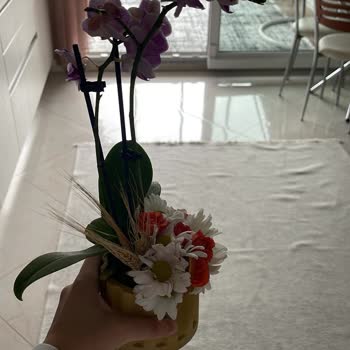 Görseldeki Ve Gelen Ürün Arasındaki Büyük Fark