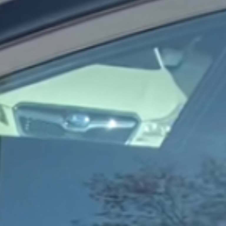 Araç Kiralama Sonrası Haksız Hasar Bedeli