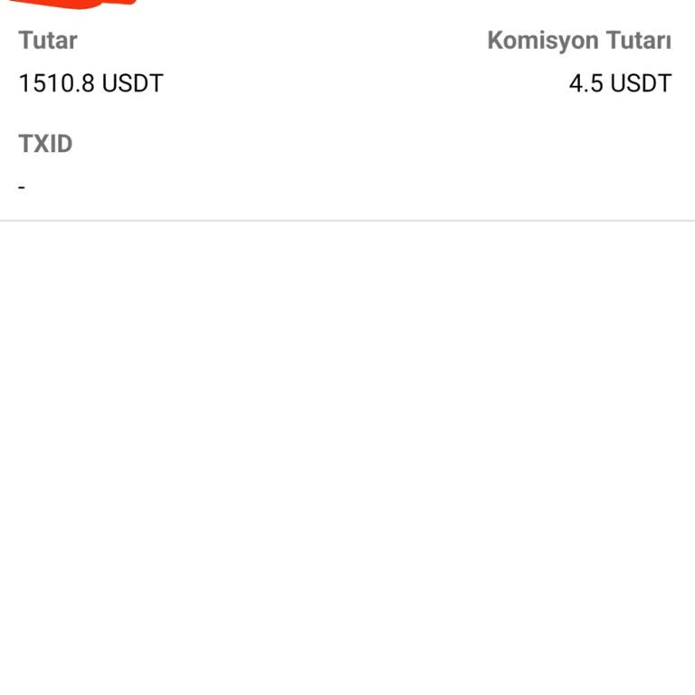 Bitci Borsasında USDT Transferi Sorunu